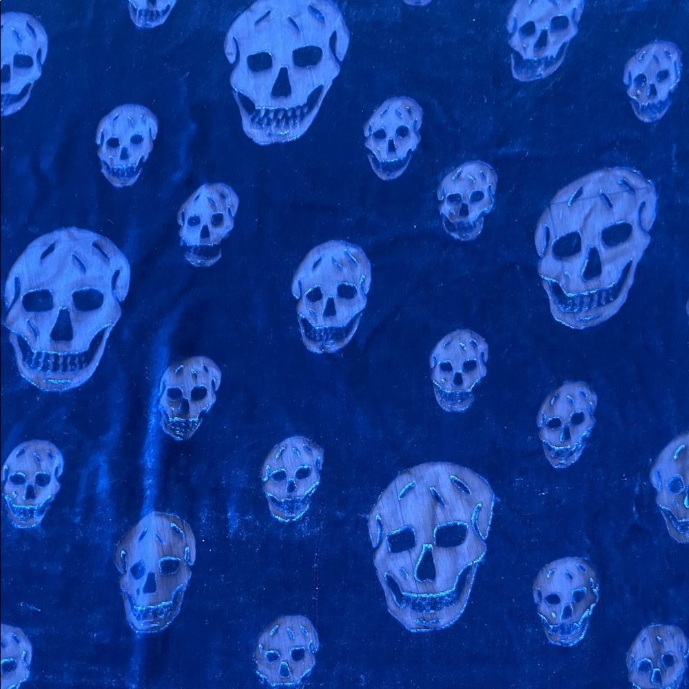 Alexander McQueen Deep Blue Velvet Textile